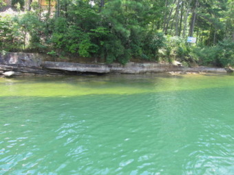 Gradual Sloping Lot With Beautiful Rock Shoreline - Lake Lot For Sale in Crane Hill, Alabama