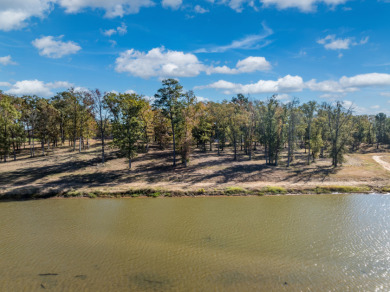 Waterfront Lot 1.079 AC on Lake Palestine - photo 2