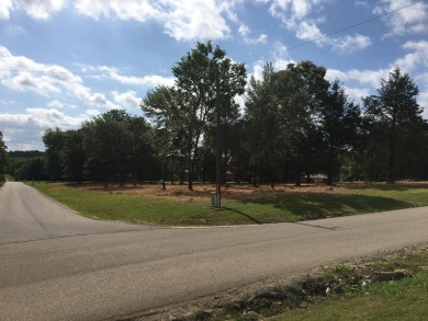 Lake Lot For Sale in Diamond City, Arkansas