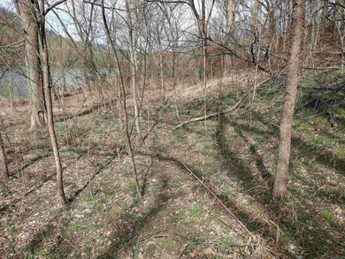 A rare opportunity awaits in a prestigious subdivision offering - photo 11