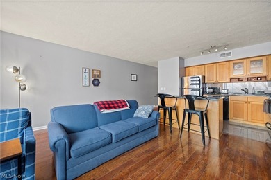 City living at its finest. This sophisticated 1-bedroom, 1-bath - photo 9