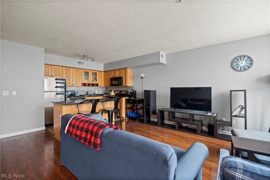 City living at its finest. This sophisticated 1-bedroom, 1-bath - photo 10