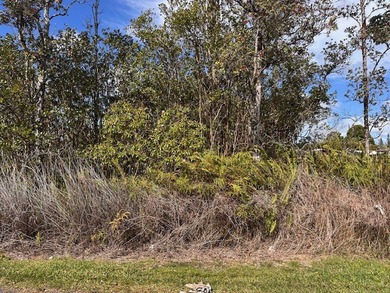 Nice buildable lot, Build you dream home or rental property - photo 1