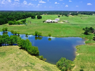 (private lake, pond, coastal) Home For Sale in Valley View Texas