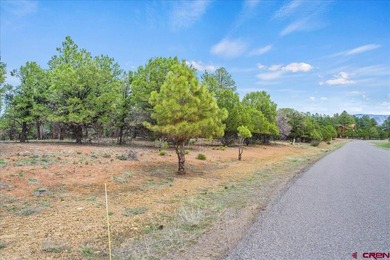 Kari L Girard, Ponderosa Real Estate The Source For Real Estate - photo 6