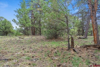 Kari L Girard, Ponderosa Real Estate The Source For Real Estate - photo 7