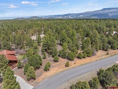 Kari L Girard, Ponderosa Real Estate The Source For Real Estate - photo 8