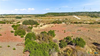 Welcome to your Texas Hill Country paradise! This exceptional 14 - photo 7