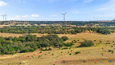 Welcome to your Texas Hill Country paradise! This exceptional 14 - photo 8