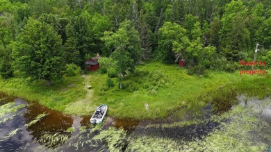 Crane Lake Lot For Sale in Crane Lake Minnesota