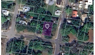 St. Johns River Lot For Sale in Palatka Florida