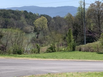 Lake Lot Off Market in Greeneville, Tennessee