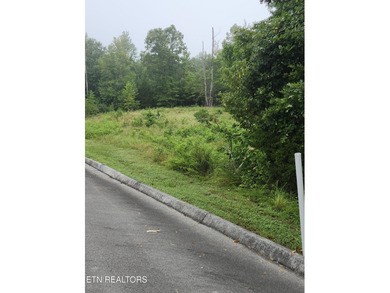 >92 Acres>> very easy build lot>>> AND a transferrable lease of - photo 12
