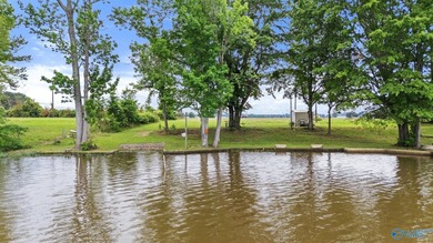 Beautiful waterfront recreational lot on Mud Creek, the Coosa - photo 2