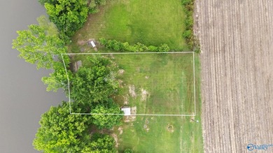 Beautiful waterfront recreational lot on Mud Creek, the Coosa - photo 3