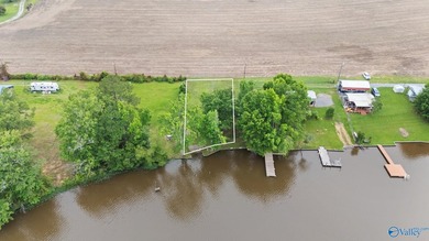 Beautiful waterfront recreational lot on Mud Creek, the Coosa - photo 5