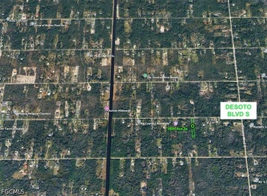A unique opportunity to own 1.14 acres located in Naples. Rural - photo 5