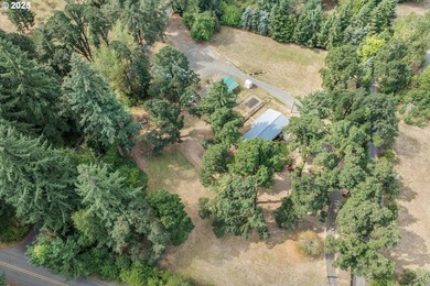 Nestled on nearly 3 acres, this welcoming ranch home has 3 - photo 39