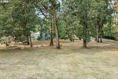 Nestled on nearly 3 acres, this welcoming ranch home has 3 - photo 40