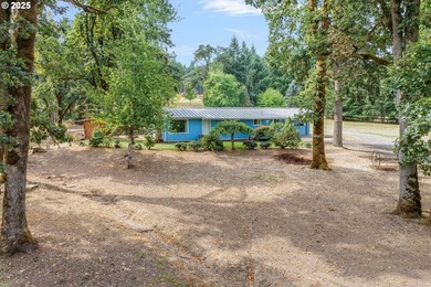 Nestled on nearly 3 acres, this welcoming ranch home has 3 - photo 41