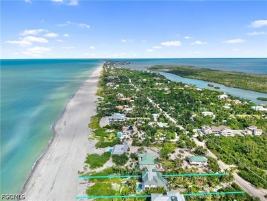 Fantastic Private Beachfront Sanctuary located on the Gold Coast - photo 45