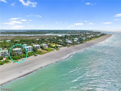 Fantastic Private Beachfront Sanctuary located on the Gold Coast - photo 46