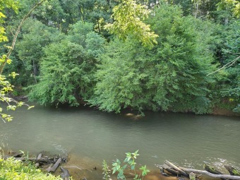 (private lake, pond, creek) Lot For Sale in Franklin North Carolina