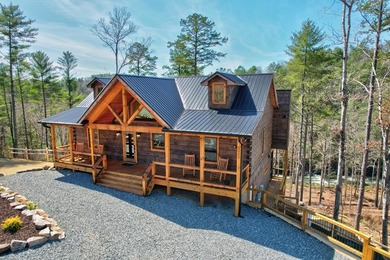 Lake Home For Sale in Ellijay, Georgia