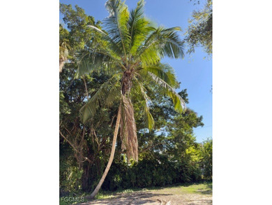 Caloosahatchee River Lot For Sale in Fort Myers Florida