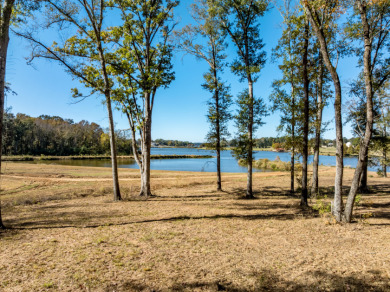 Waterfront Lot 1.079 AC on Lake Palestine - photo 3