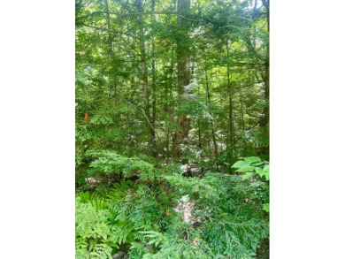 Thompson Lake Lot For Sale in Casco Maine