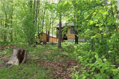 Lake Home For Sale in Meadowbrook Twp, Minnesota