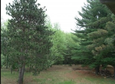 Wolf River Lot For Sale in Weyauwega Wisconsin