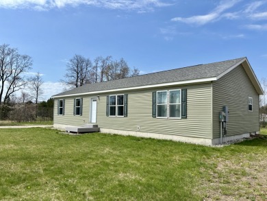 Lake Home For Sale in Buckley, Michigan