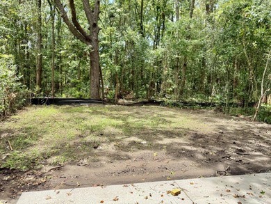 $10,000 in buyer's closing costs and prepaid and/or rate buy - photo 2