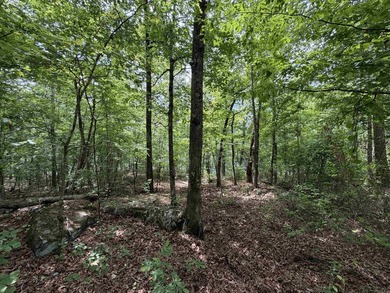 Escape to a truly remote lakeside hideaway spanning 5 acres and - photo 4