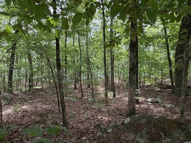 Escape to a truly remote lakeside hideaway spanning 5 acres and - photo 6