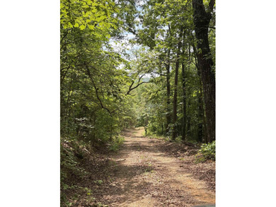 Escape to a truly remote lakeside hideaway spanning 5 acres and - photo 10