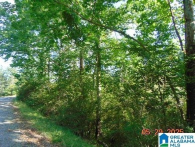 Lake Acreage For Sale in Clanton, Alabama