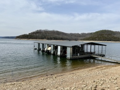 Discover Lakefront Livinq: Remodeled 3BR/3BA Home with Boat Slip - photo 29