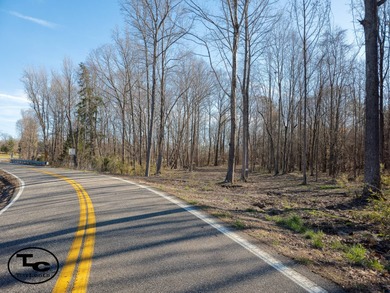 (private lake, pond, creek) Acreage For Sale in Silerton Tennessee