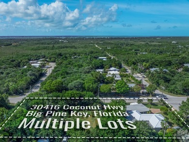 Looking for land in the Keys and a well-maintained home? This - photo 3