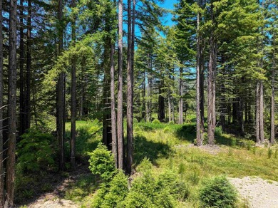 Incredible opportunity to purchase 3.7 acres of river frontage - photo 2