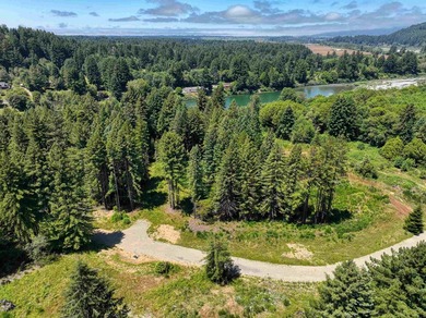 Incredible opportunity to purchase 3.7 acres of river frontage - photo 3