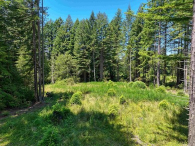 Incredible opportunity to purchase 3.7 acres of river frontage - photo 6