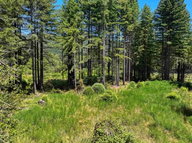 Incredible opportunity to purchase 3.7 acres of river frontage - photo 7