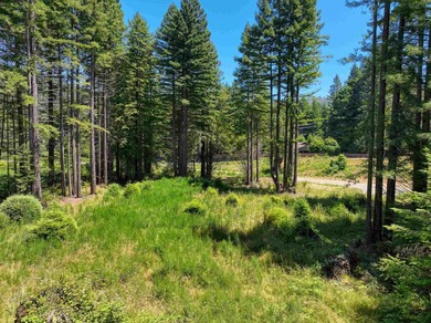 Incredible opportunity to purchase 3.7 acres of river frontage - photo 8