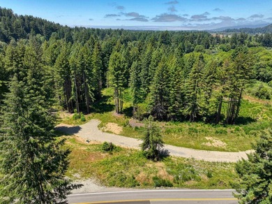 Incredible opportunity to purchase 3.7 acres of river frontage - photo 9
