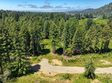 Incredible opportunity to purchase 3.7 acres of river frontage - photo 10