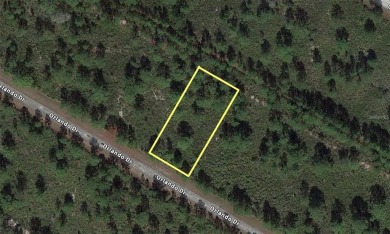 Lake Lot For Sale in Indian Lake Estates, Florida